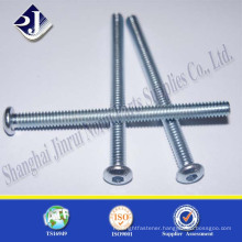 Made In China Professional Zinc Plated Hex Socket Screw With Botton Head